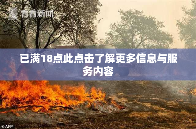 已满18点此点击了解更多信息与服务内容