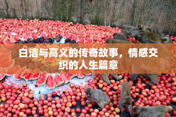 白洁与高义的传奇故事，情感交织的人生篇章