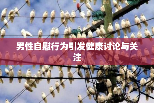 男性自慰行为引发健康讨论与关注