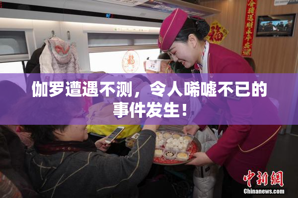 伽罗遭遇不测，令人唏嘘不已的事件发生！