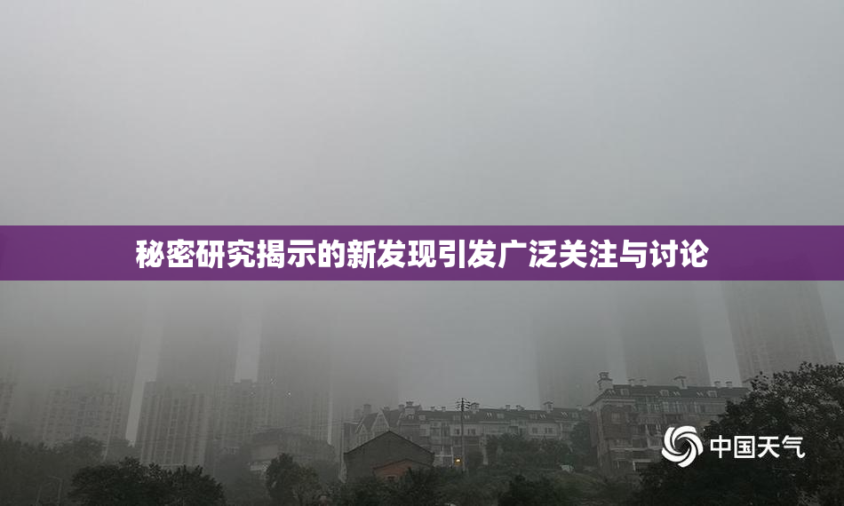 秘密研究揭示的新发现引发广泛关注与讨论