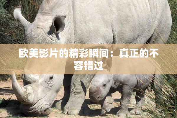 欧美影片的精彩瞬间：真正的不容错过