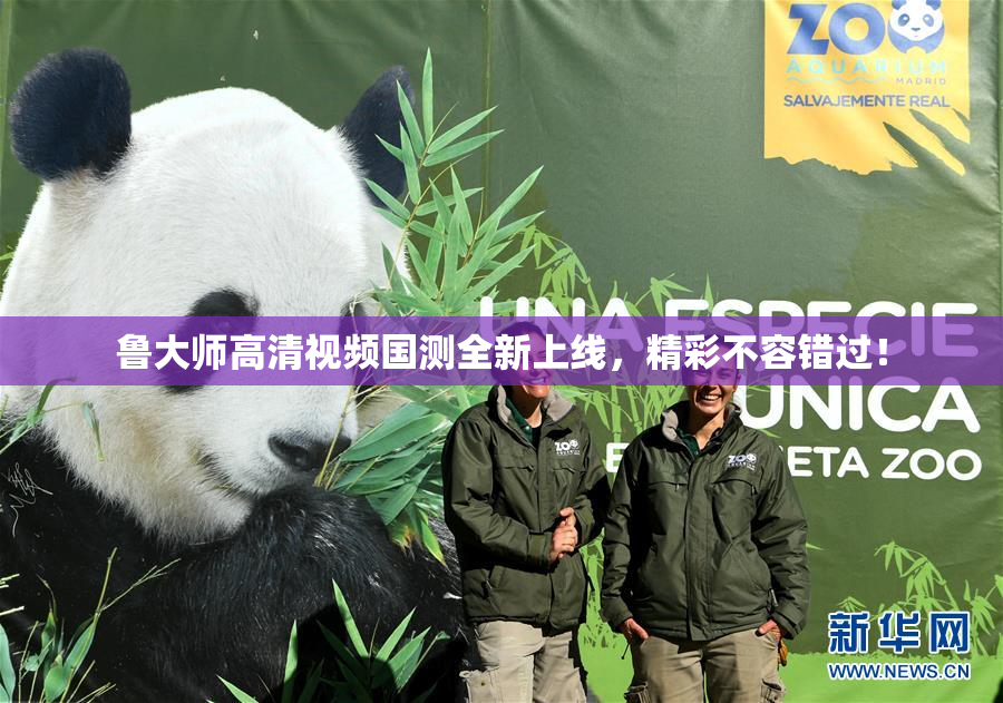 鲁大师高清视频国测全新上线，精彩不容错过！