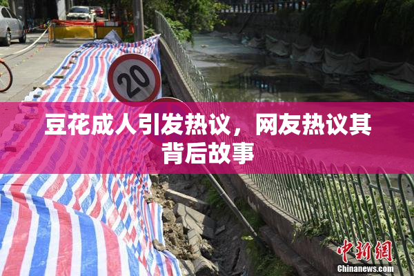 豆花成人引发热议，网友热议其背后故事