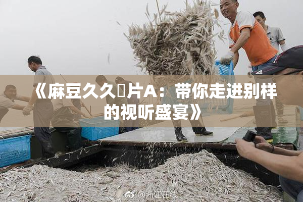 《麻豆久久婬片A：带你走进别样的视听盛宴》