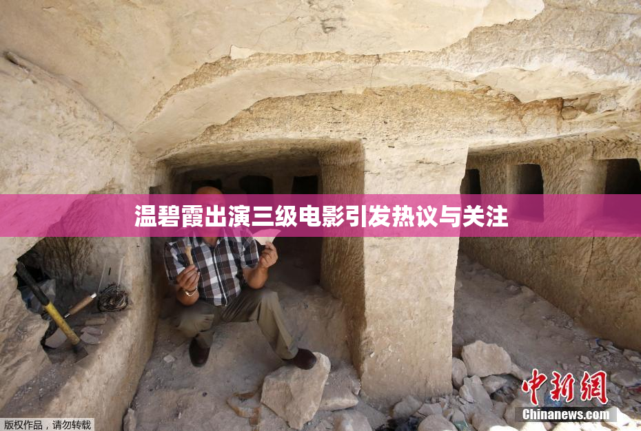 温碧霞出演三级电影引发热议与关注