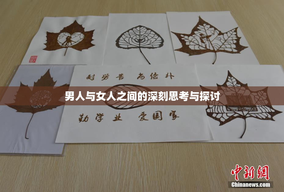 男人与女人之间的深刻思考与探讨