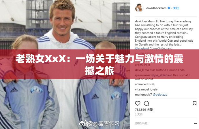 老熟女XxX：一场关于魅力与激情的震撼之旅