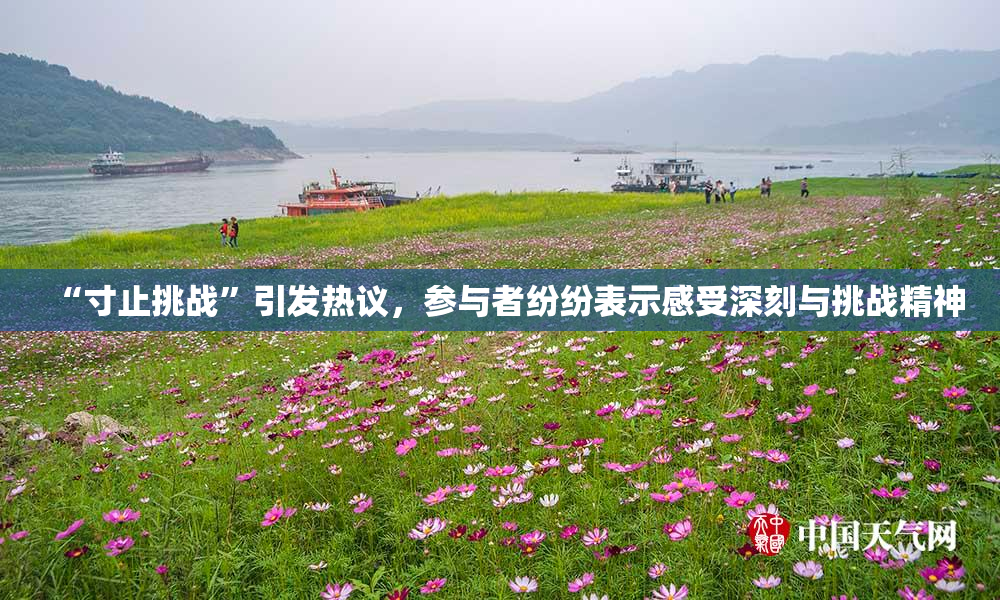 “寸止挑战”引发热议，参与者纷纷表示感受深刻与挑战精神
