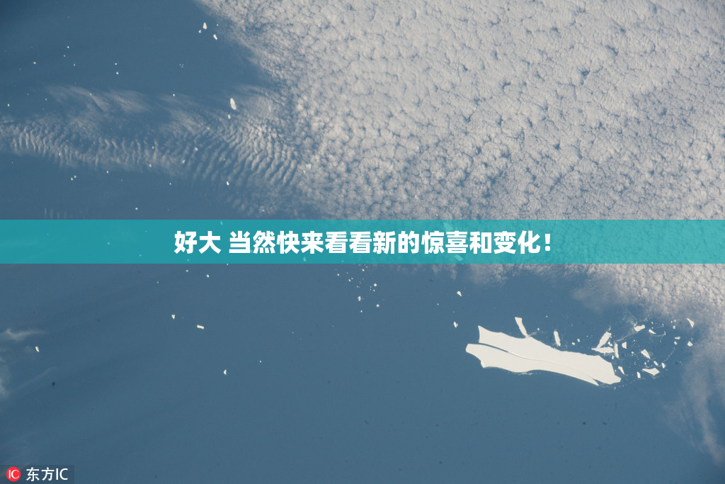 好大 当然快来看看新的惊喜和变化！
