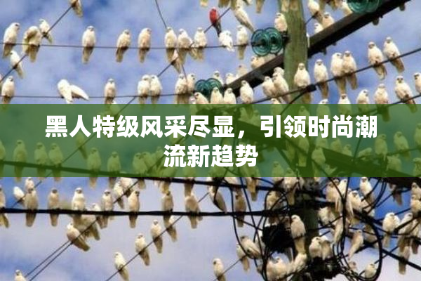 黑人特级风采尽显，引领时尚潮流新趋势