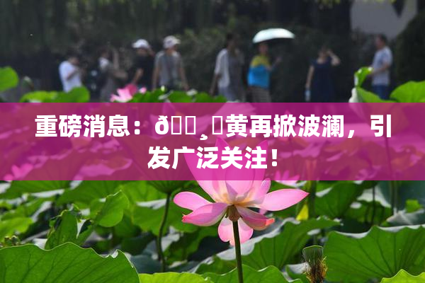 重磅消息：🌸‌黄再掀波澜，引发广泛关注！