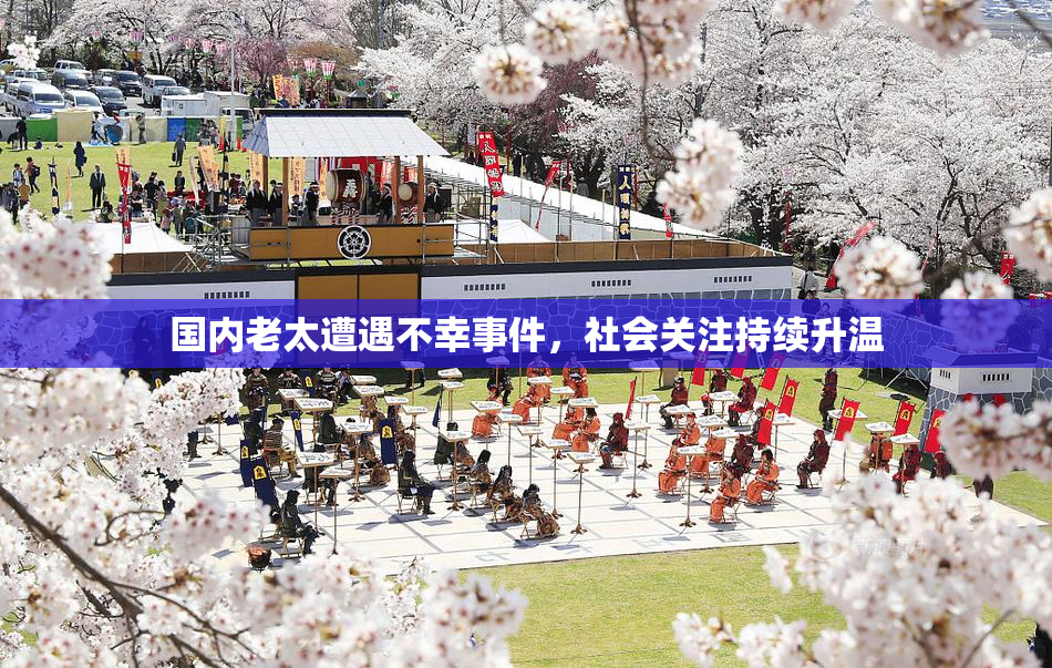 国内老太遭遇不幸事件，社会关注持续升温
