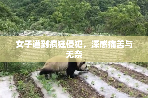 女子遭到疯狂侵犯，深感痛苦与无奈
