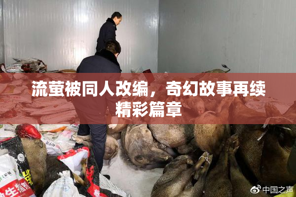 流萤被同人改编，奇幻故事再续精彩篇章