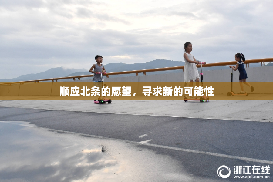 顺应北条的愿望，寻求新的可能性