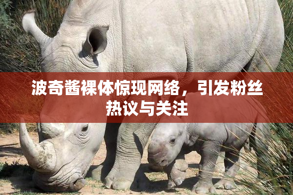 波奇酱裸体惊现网络，引发粉丝热议与关注