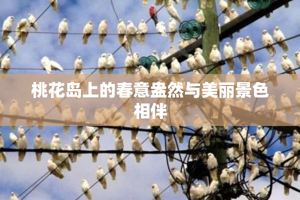 桃花岛上的春意盎然与美丽景色相伴