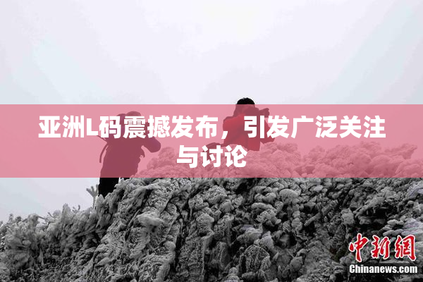 亚洲L码震撼发布，引发广泛关注与讨论