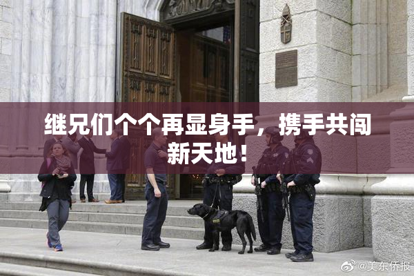 继兄们个个再显身手，携手共闯新天地！