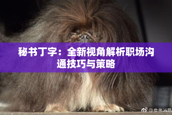 秘书丁字：全新视角解析职场沟通技巧与策略