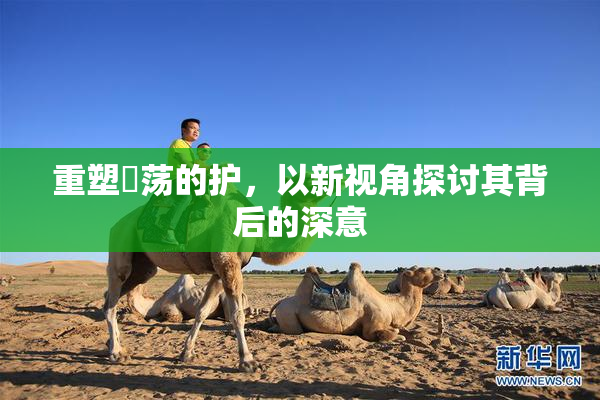 重塑婬荡的护，以新视角探讨其背后的深意