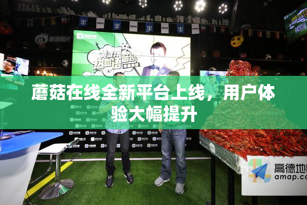 蘑菇在线全新平台上线，用户体验大幅提升