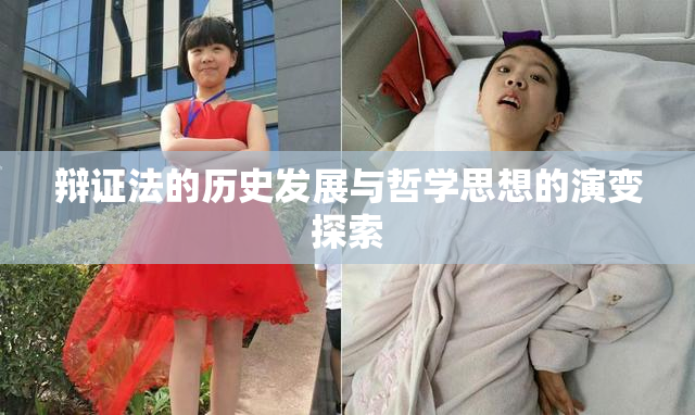 辩证法的历史发展与哲学思想的演变探索