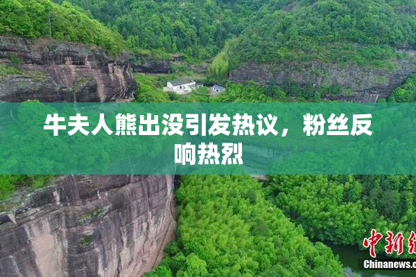 牛夫人熊出没引发热议，粉丝反响热烈