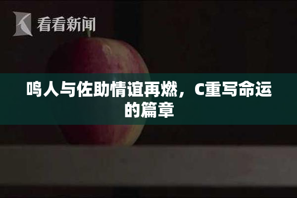 鸣人与佐助情谊再燃，C重写命运的篇章
