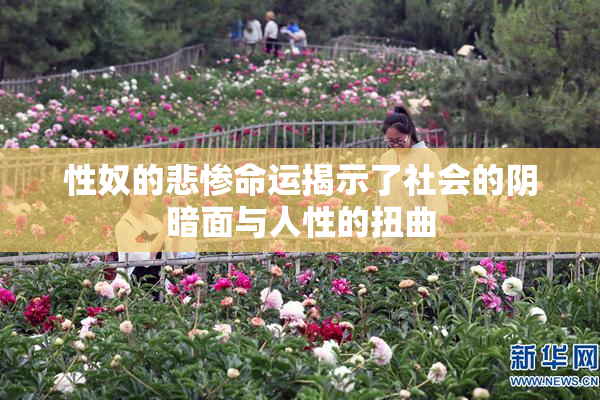 性奴的悲惨命运揭示了社会的阴暗面与人性的扭曲