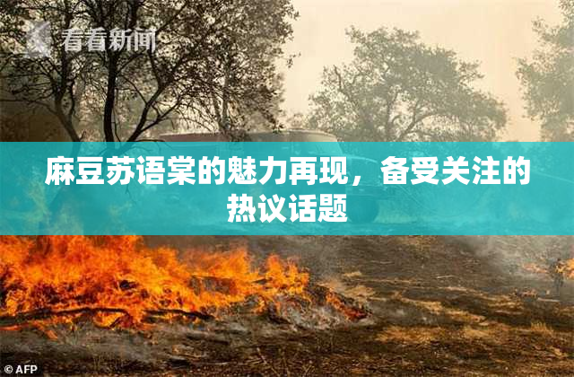 麻豆苏语棠的魅力再现，备受关注的热议话题