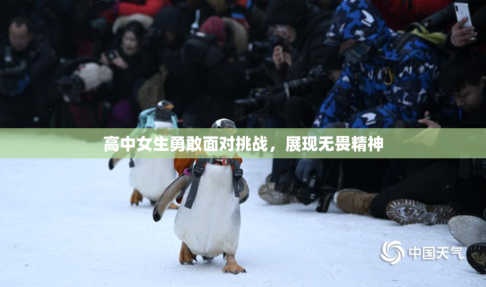 高中女生勇敢面对挑战，展现无畏精神