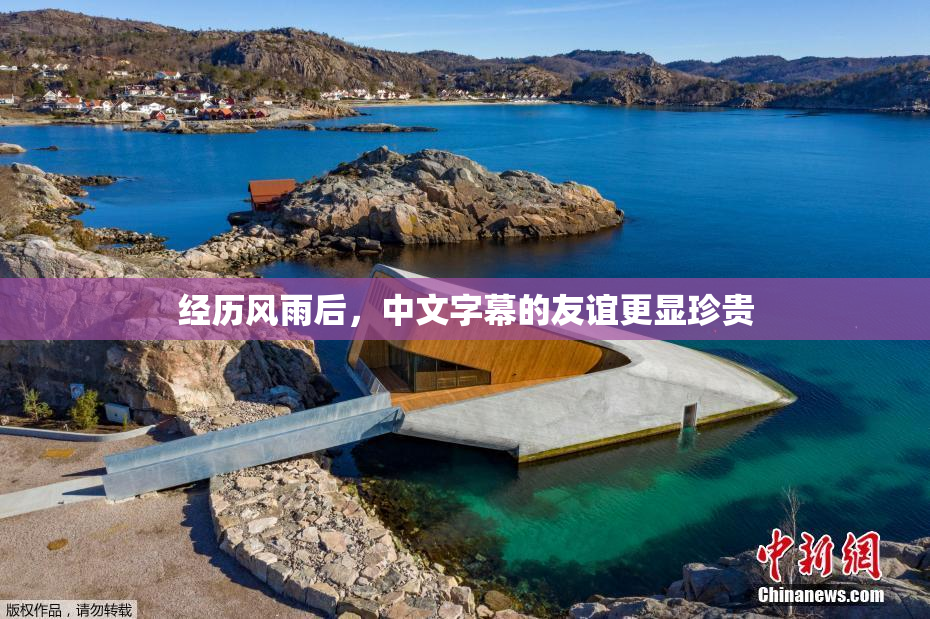 经历风雨后，中文字幕的友谊更显珍贵