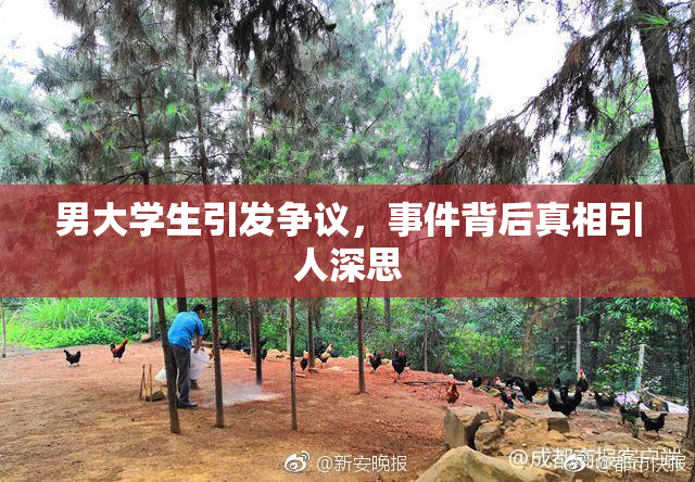 男大学生引发争议，事件背后真相引人深思