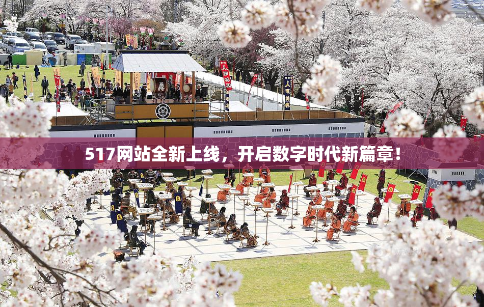 517网站全新上线，开启数字时代新篇章！