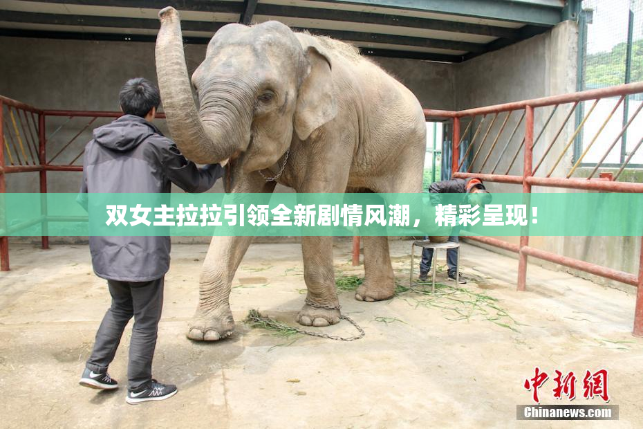 双女主拉拉引领全新剧情风潮，精彩呈现！