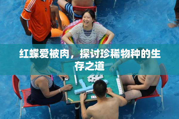 红蝶爱被肉，探讨珍稀物种的生存之道