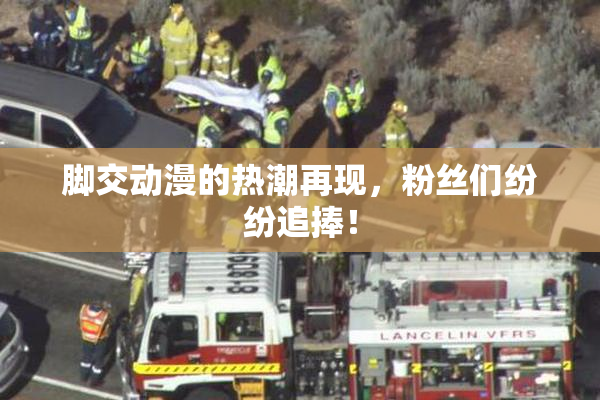 脚交动漫的热潮再现，粉丝们纷纷追捧！