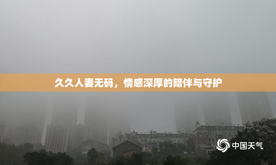 久久人妻无码，情感深厚的陪伴与守护