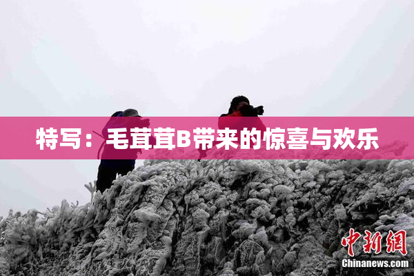 特写：毛茸茸B带来的惊喜与欢乐
