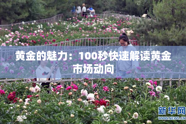 黄金的魅力：100秒快速解读黄金市场动向