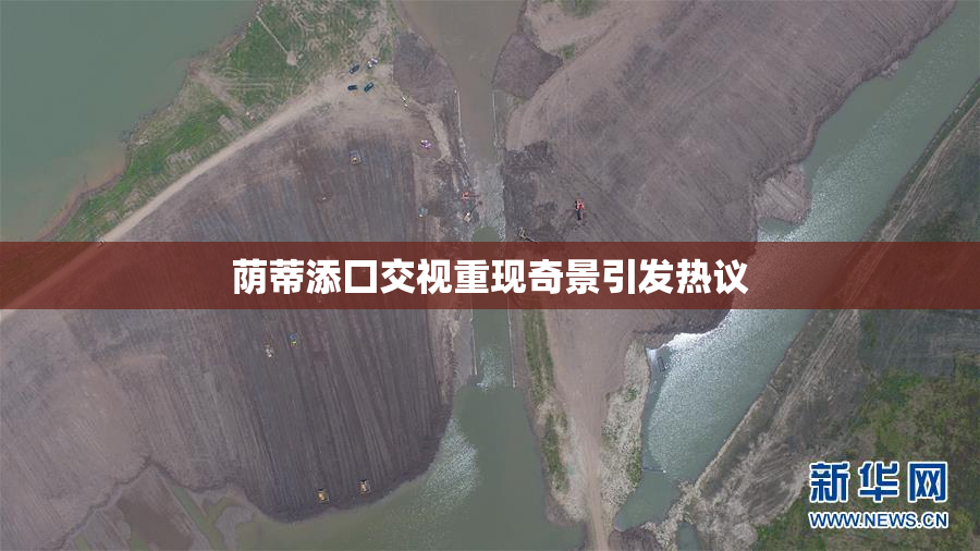 荫蒂添囗交视重现奇景引发热议