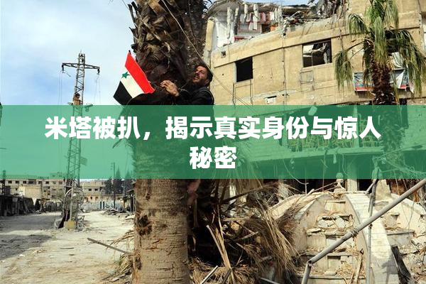 米塔被扒，揭示真实身份与惊人秘密