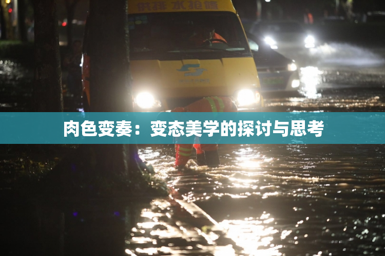 肉色变奏：变态美学的探讨与思考