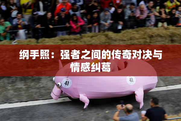 纲手照：强者之间的传奇对决与情感纠葛