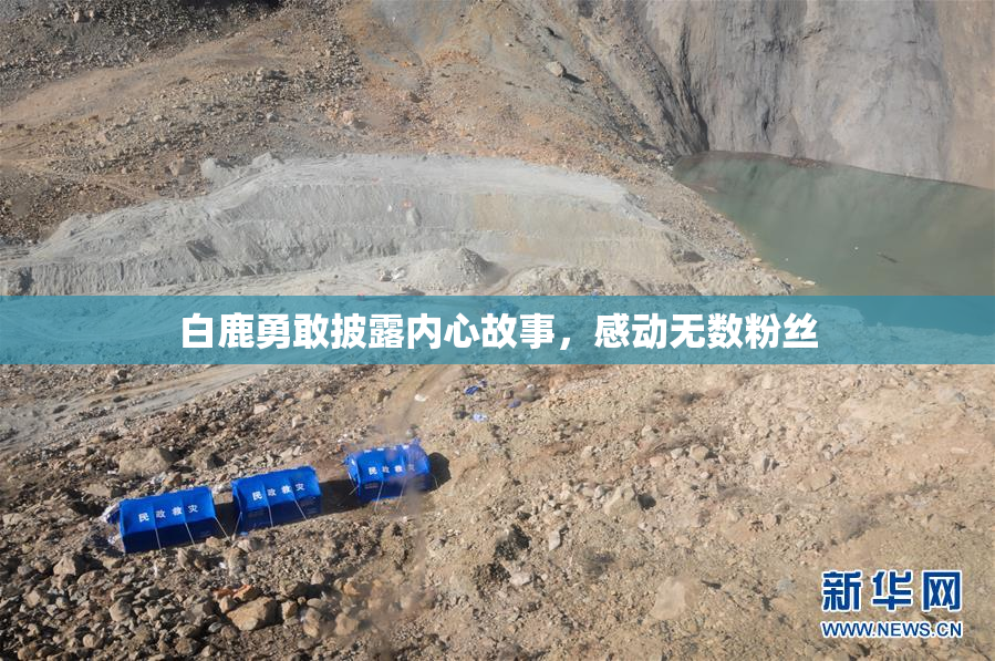 白鹿勇敢披露内心故事，感动无数粉丝