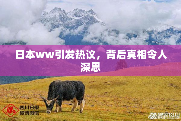 日本ww引发热议，背后真相令人深思