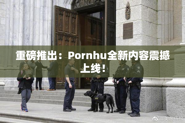重磅推出：Pornhu全新内容震撼上线！