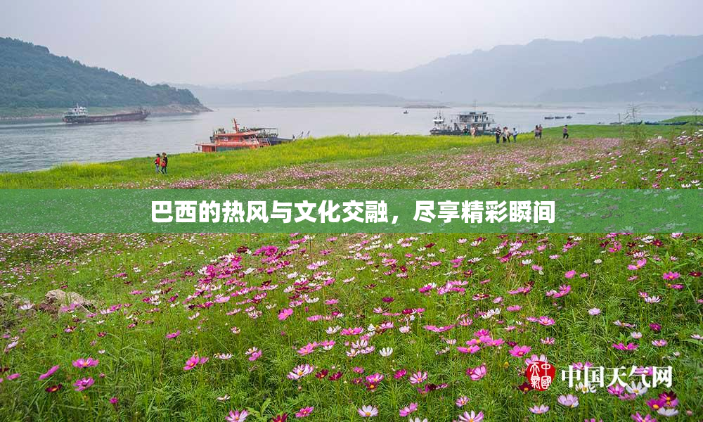 巴西的热风与文化交融，尽享精彩瞬间